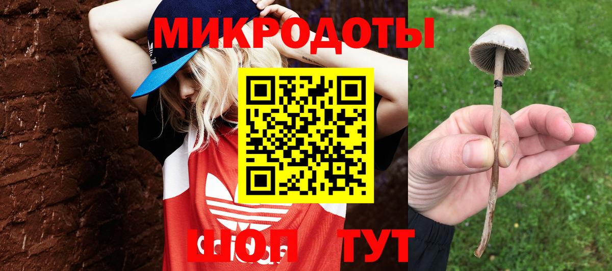 Галлюциногенные грибы Psilocybine cubensis  Вход с VPN  Шали 