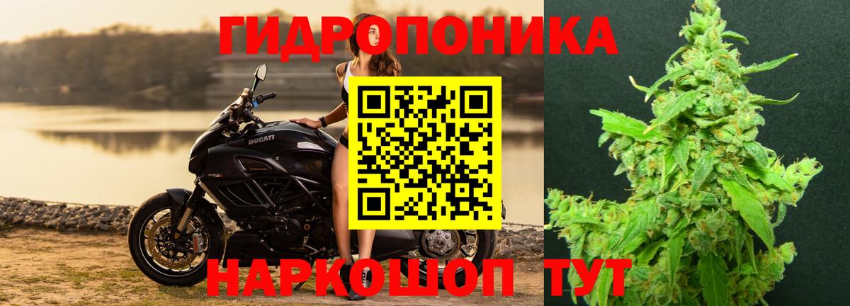 Конопля White Widow Шали